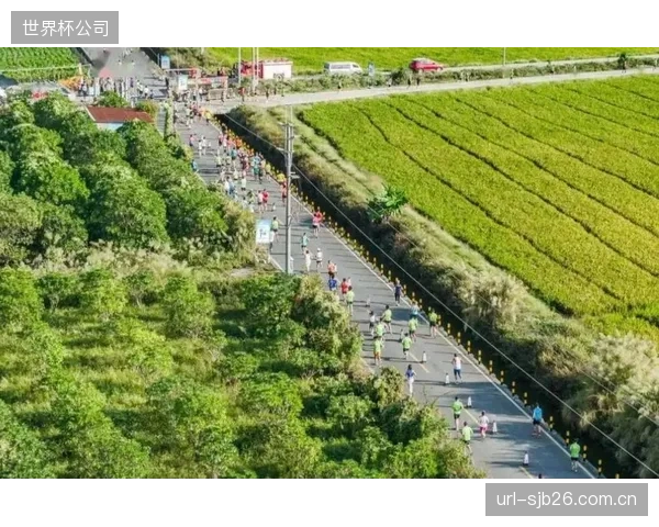 統計發現:全國超過八成的鄉村馬拉松賽事,其運營資金已摆脱捐贈依賴,轉由報名費和地方文旅貢獻 統計發現:全國超過八成的鄉村馬拉松賽事,其運營資金已摆脱捐贈依賴,轉由報名費和地方文旅貢獻
